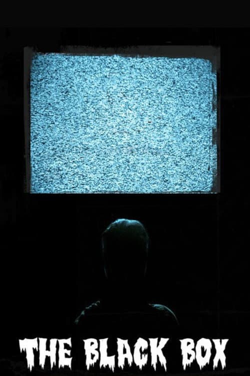 Постер: The Black Box