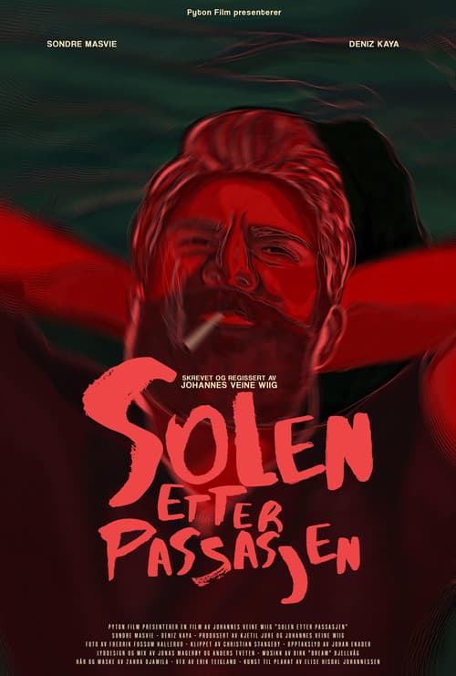 Постер: Solen etter Passasjen