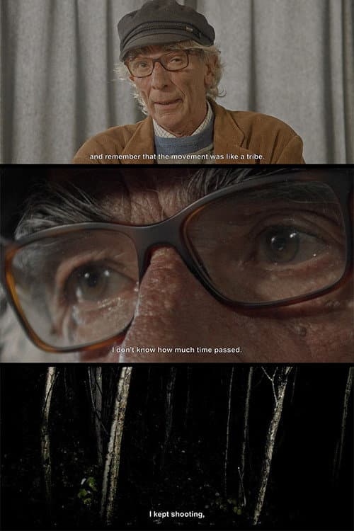 Постер: Despite The Facts