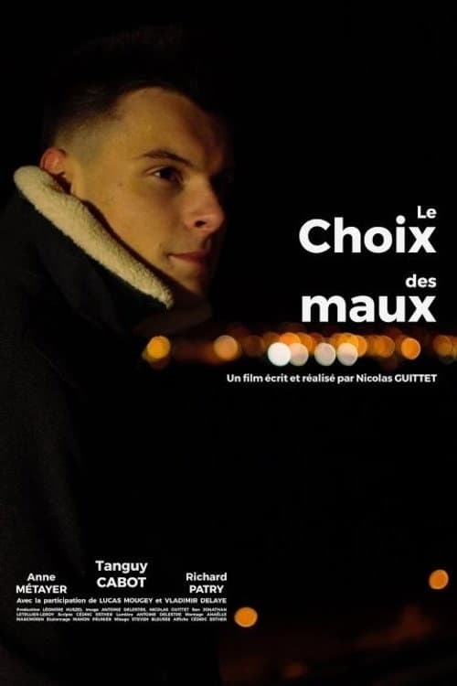 Постер: Le choix des maux