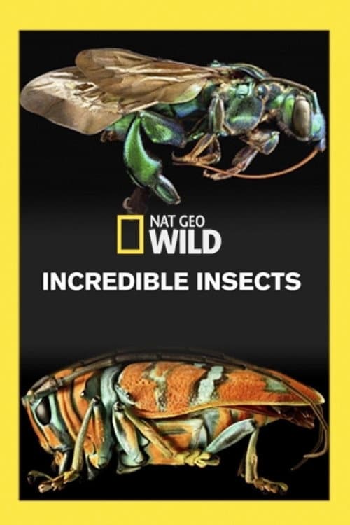 Постер: Incredible Insects
