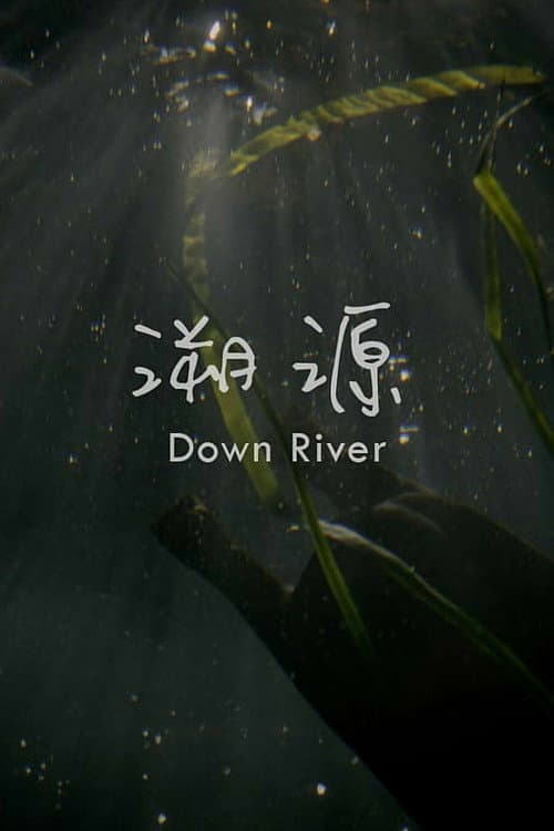 Постер: 溯源
