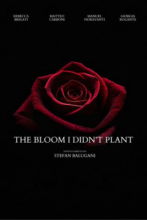 Постер: The Bloom I Didn't Plant