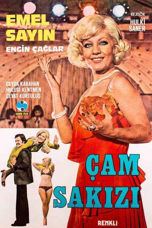Постер: Çam Sakızı
