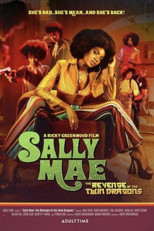 Постер: Sally Mae: The Revenge of the Twin Dragons
