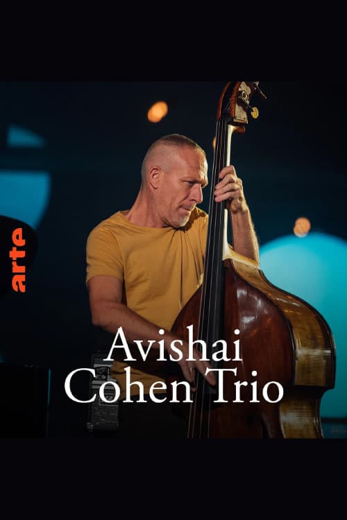 Постер: Avishai Cohen Trio – Shifting sands