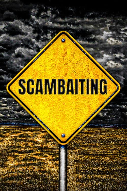 Постер: The Unseen World of Scambaiting