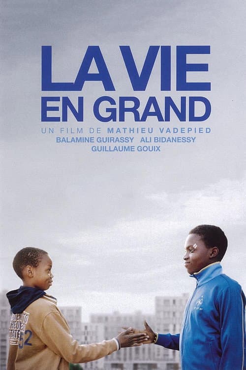 Постер: La Vie en grand