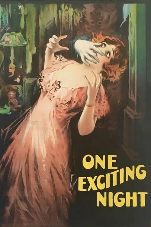 Постер: One Exciting Night