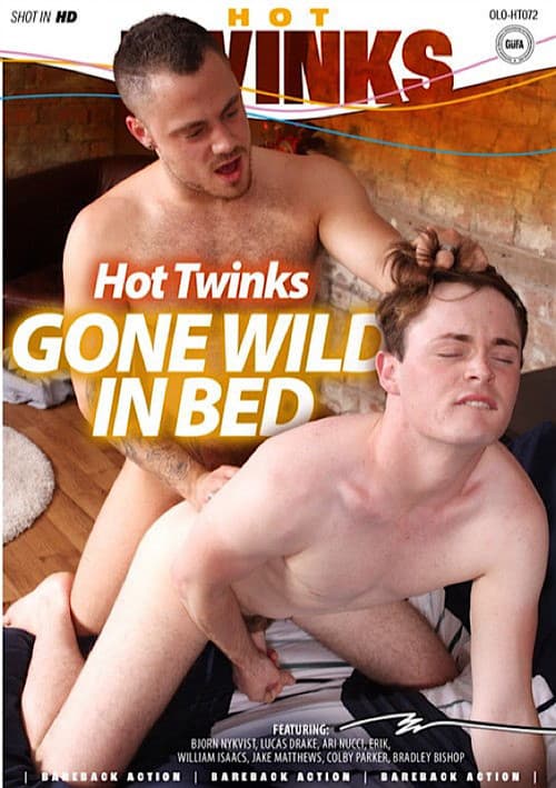 Постер: Hot Twinks Gone Wild In Bed