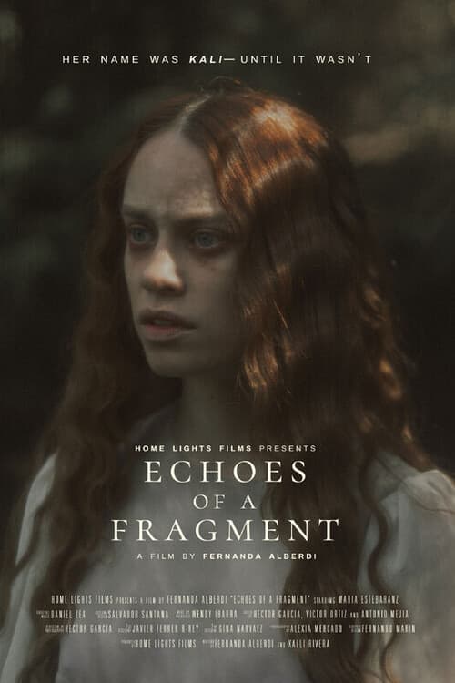 Постер: Echoes of a Fragment