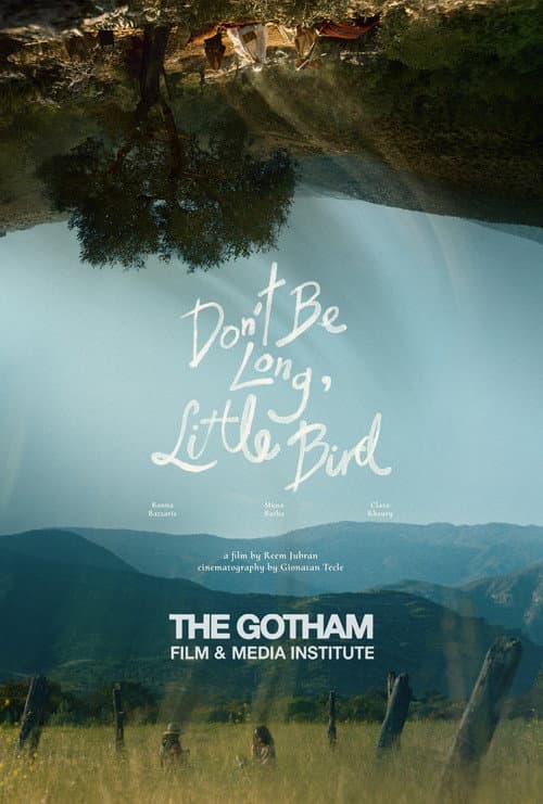 Постер: Don't Be Long, Little Bird