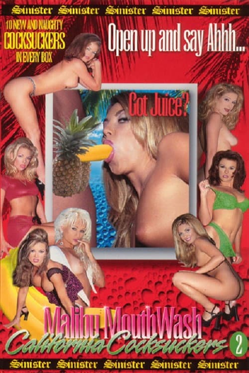 Постер: California Cocksuckers 2