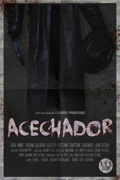 Постер: Acechador