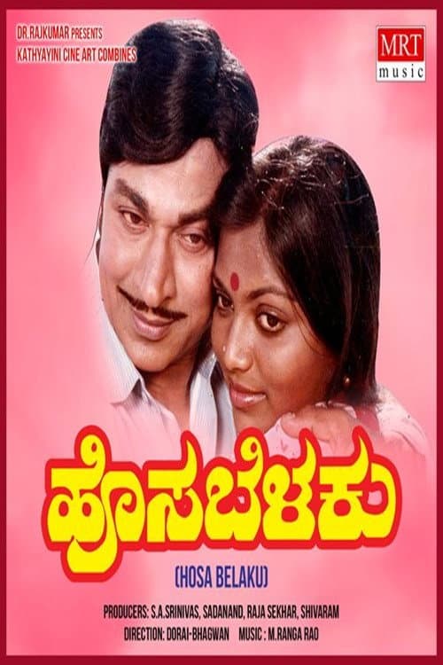 Постер: ಹೊಸಬೆಳಕು