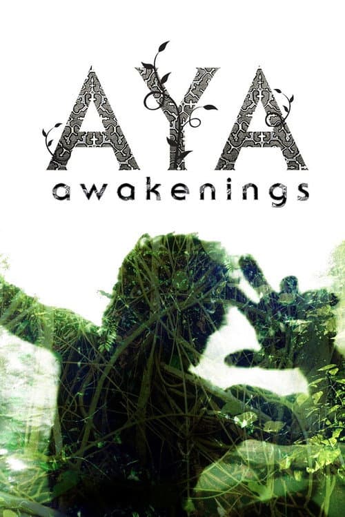 Постер: Aya: Awakenings