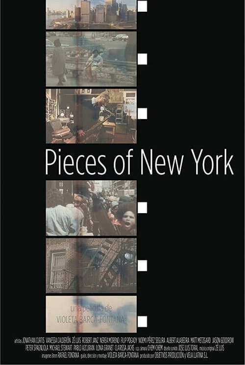 Постер: Pieces of New York