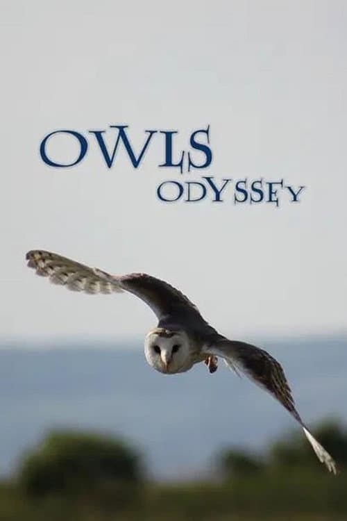 Постер: Owl's Odyssey