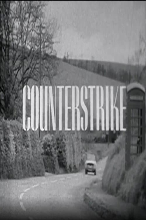 Постер: Counterstrike