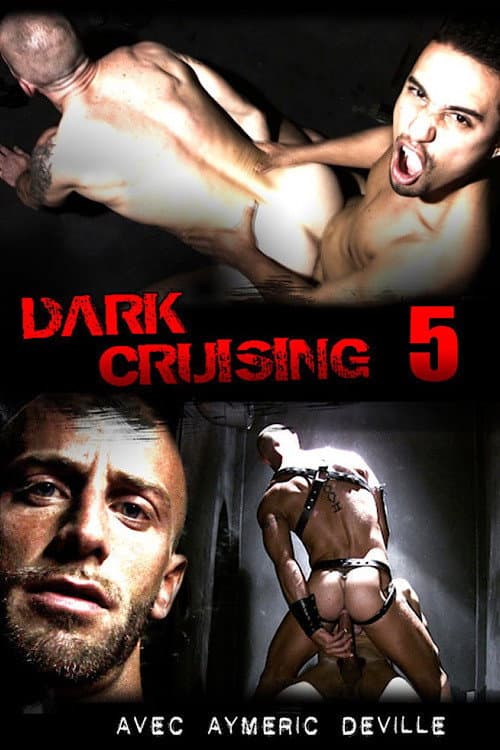 Постер: Dark Cruising 5