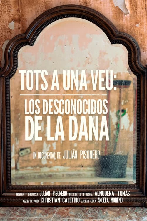 Постер: Tots a una veu: Los desconocidos de la DANA
