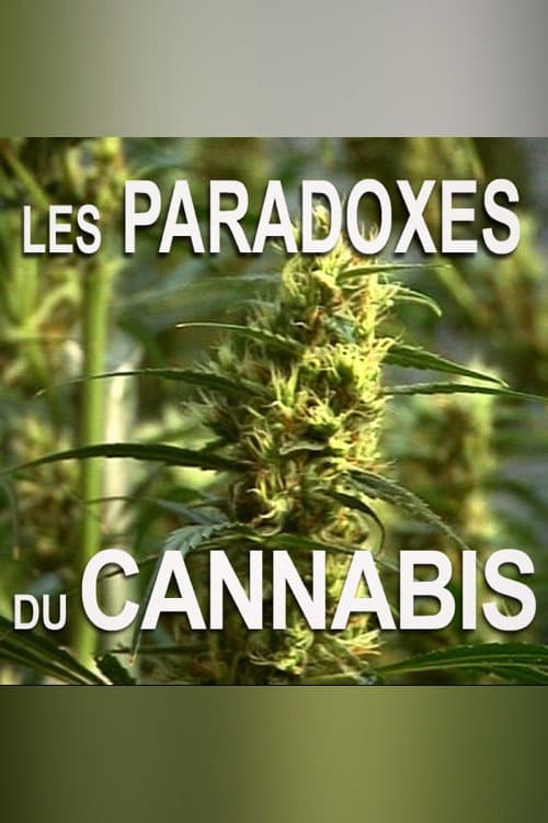 Постер: Les paradoxes du cannabis