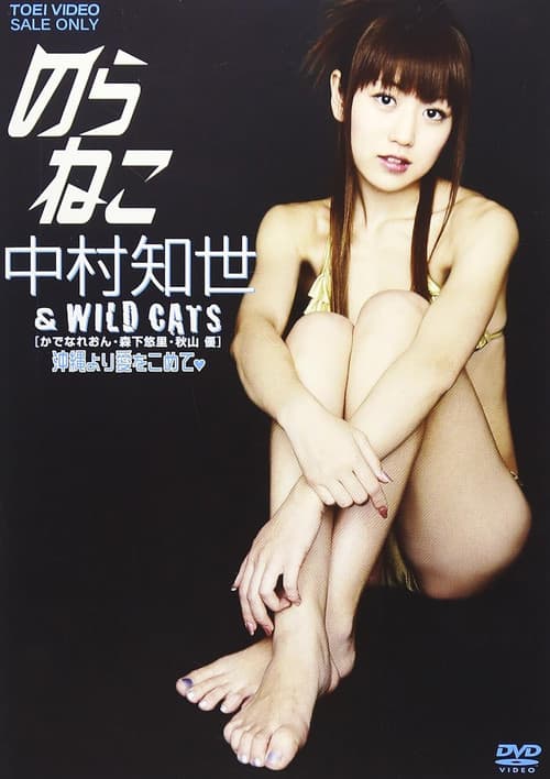 Постер: のらねこ 中村知世 & WILD CATS/かでなれおん・森下悠里・秋山優 沖縄より愛をこめて