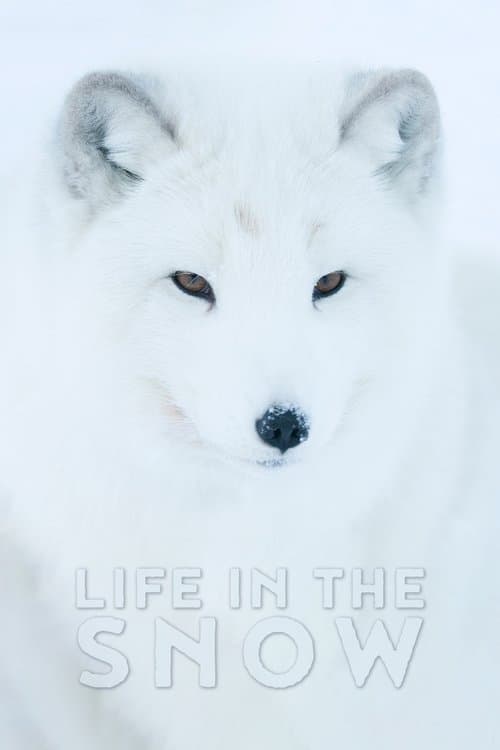 Постер: Life In The Snow