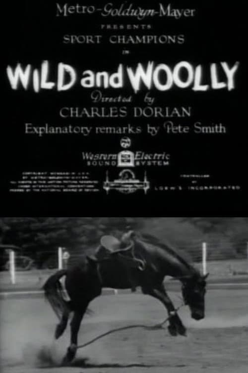 Постер: Wild and Woolly