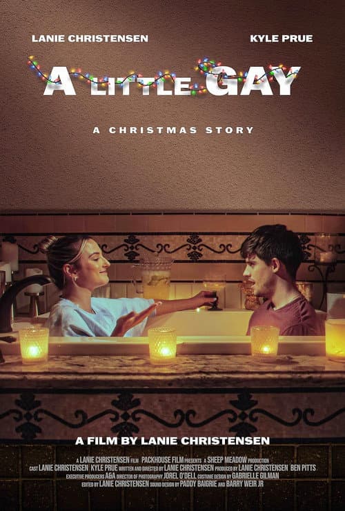 Постер: A Little Gay