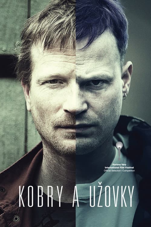 Постер: Кобры и ужи