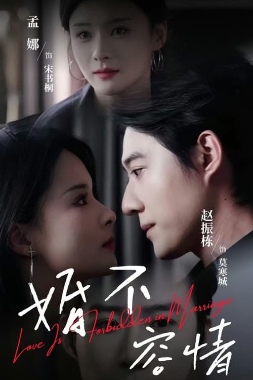 Постер: 婚不容情