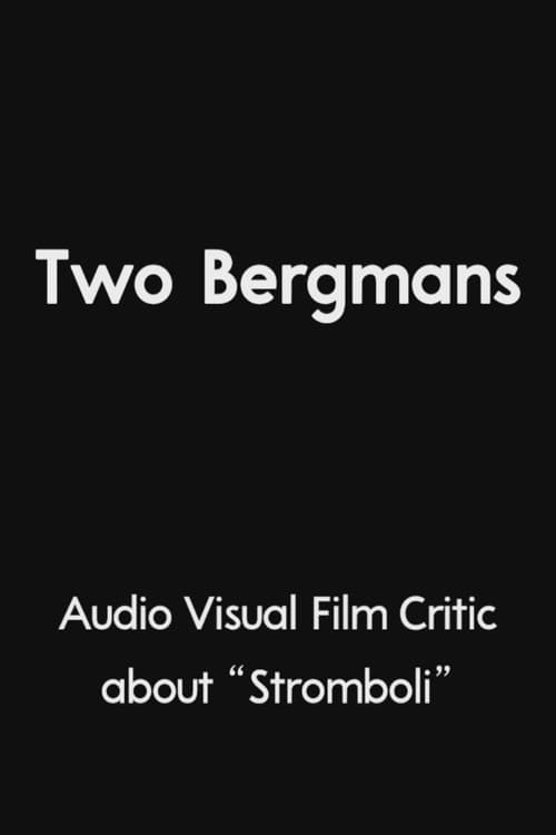 Постер: Two Bergmans