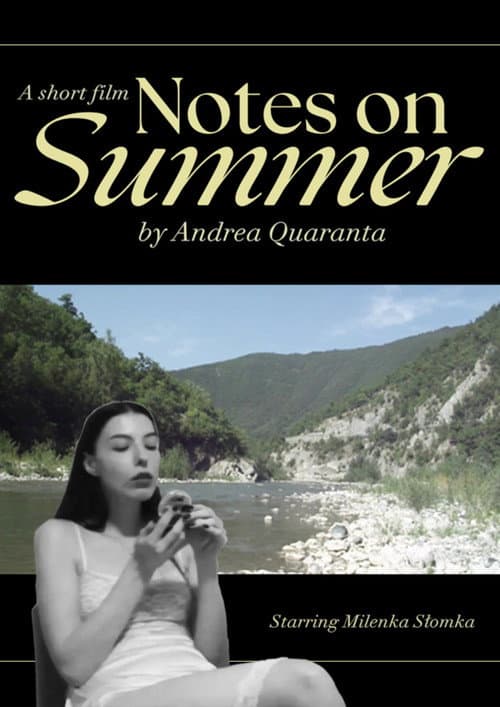 Постер: Notes on Summer