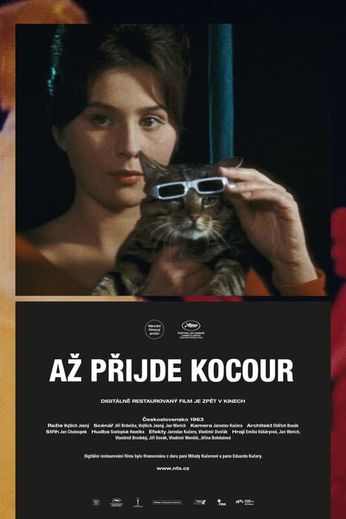 Постер: Вот придёт кот