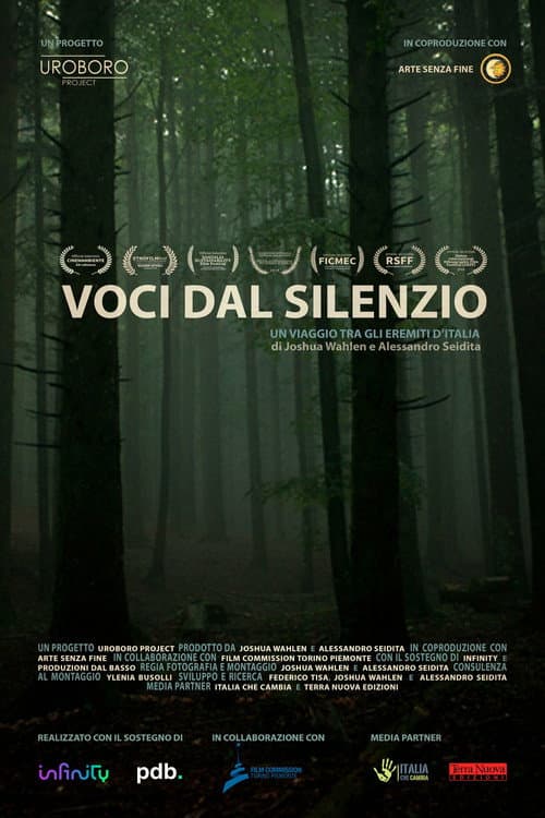 Постер: Voci dal silenzio