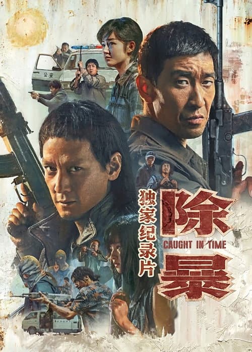 Постер: 除暴·独家纪录片