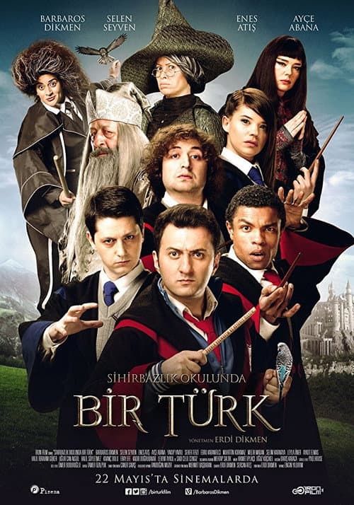 Постер: Sihirbazlık Okulunda Bir Türk
