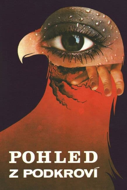 Постер: Pogled iz potkrovlija