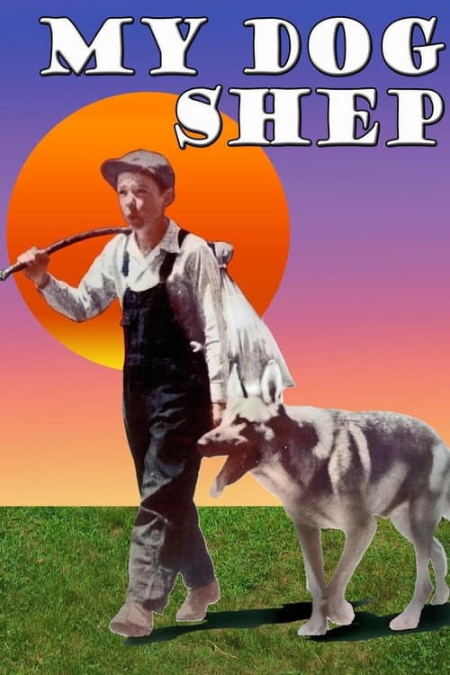 Постер: My Dog Shep