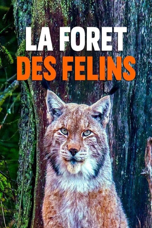 Постер: La forêt des félins: Chats sauvages et lynx du Harz