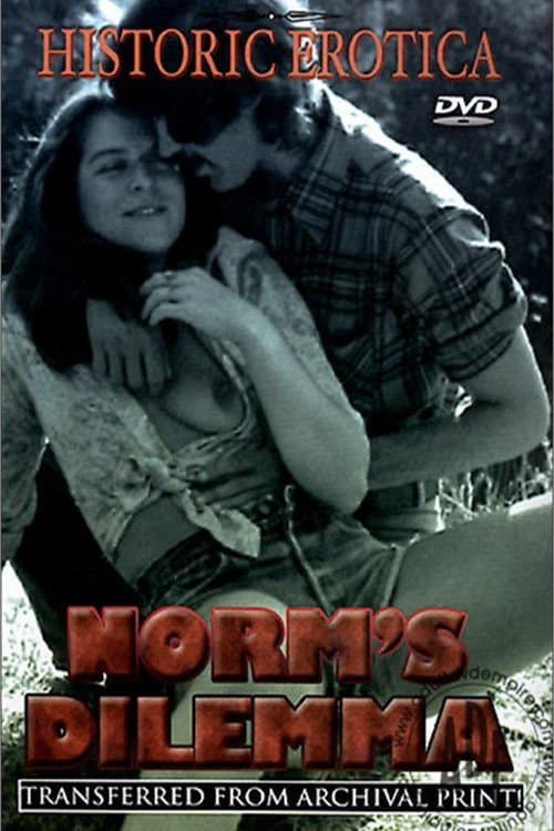 Постер: Norm's Dilemma