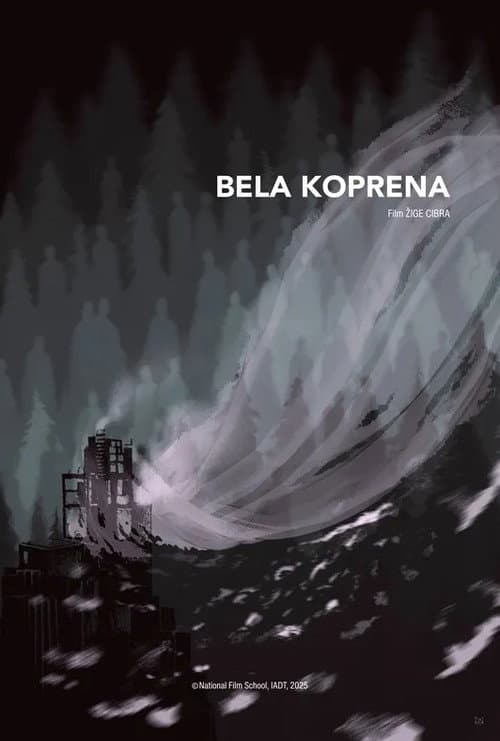 Постер: Bela koprena