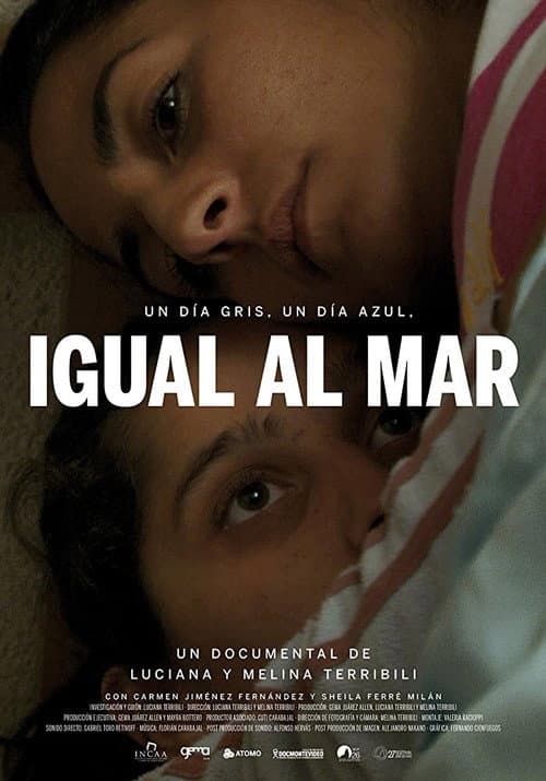 Постер: Un día gris, un día azul, igual al mar