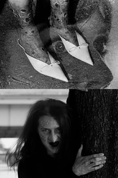 Постер: The Pointy Slippers