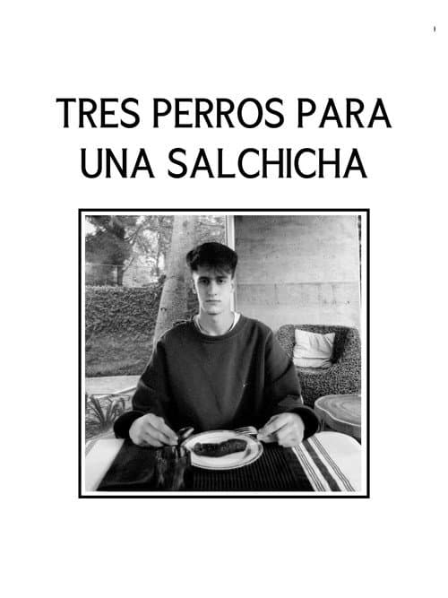 Постер: Tres Perros Para Una Salchicha