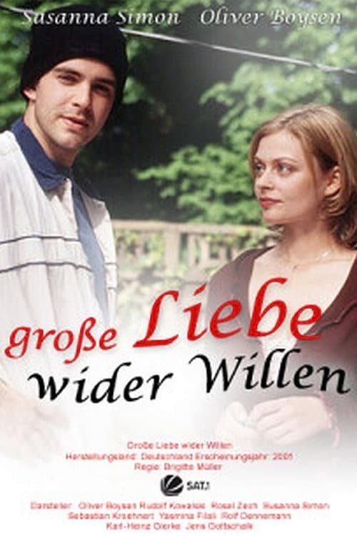 Постер: Große Liebe wider Willen