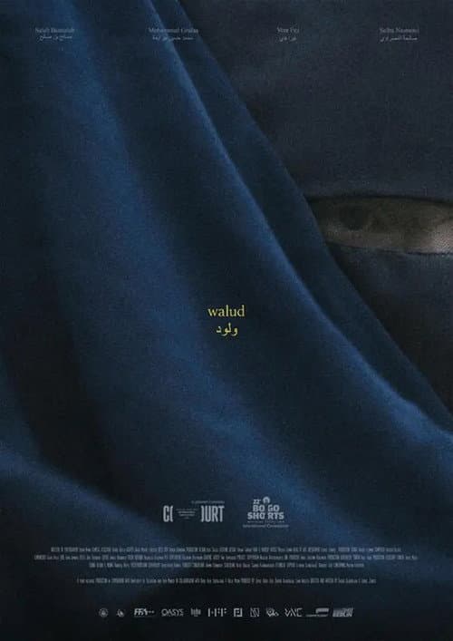 Постер: Walud