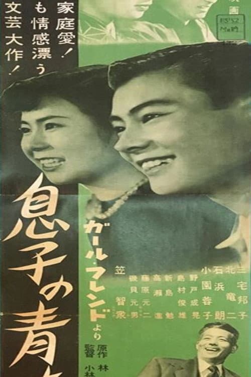 Постер: 息子の青春