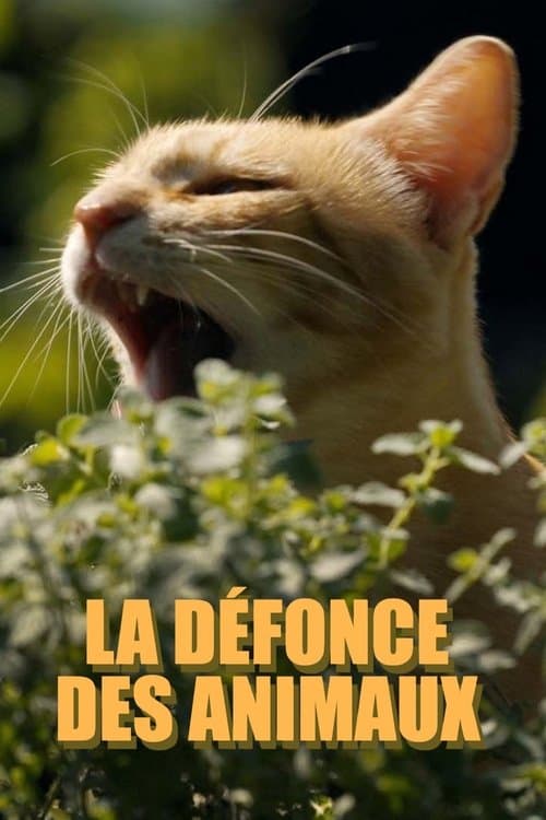 Постер: La défonce des animaux